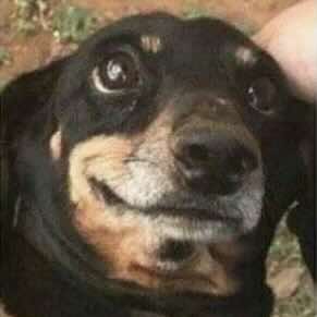 inscription 010bc12b87237d1bbcd9939ed3f6b0e12bf316c6d75b6e5c849f5e56262989bei0