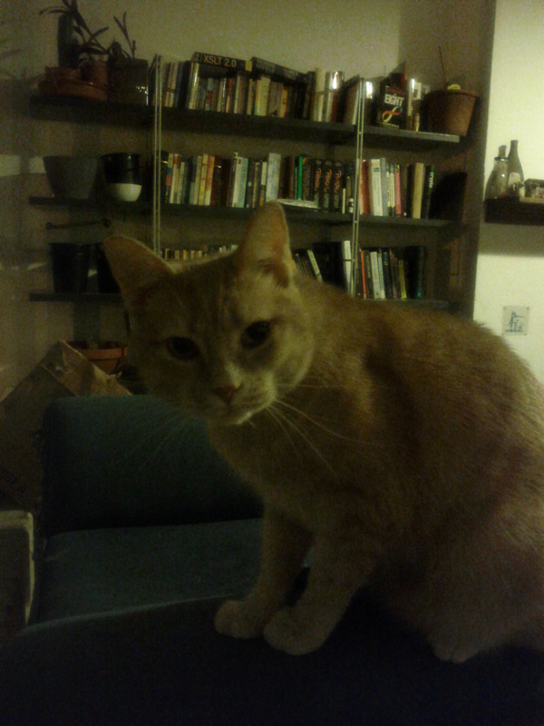 inscription 01989c88202695261e346ca3e76811ad1508083f98e1557ce6d04ca2a97ab79ai0