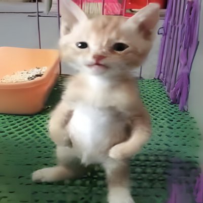 inscription 02792bb253bf391616a9605781a12d5f7885a898fda0f382fa0d72baebc84357i0