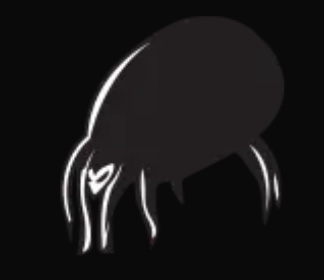 inscription 03ce6a0a78b3cadbb4041c6a1b6e3d65edd43be30d41937f176a1cb9361de843i0