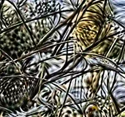 inscription 0a65100367a06c5df70b0f1c7d65852e01b84d801c38400b852205d450f777aai2