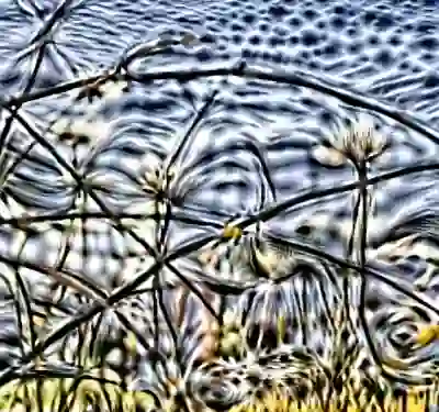 inscription 0a65100367a06c5df70b0f1c7d65852e01b84d801c38400b852205d450f777aai3