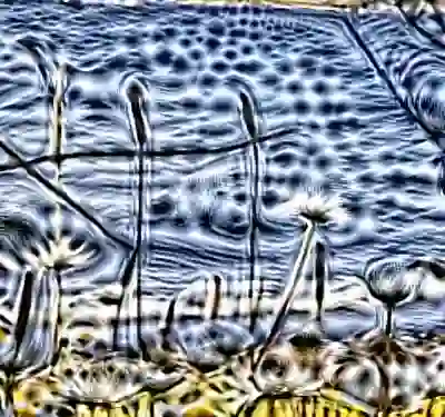 inscription 0a65100367a06c5df70b0f1c7d65852e01b84d801c38400b852205d450f777aai4