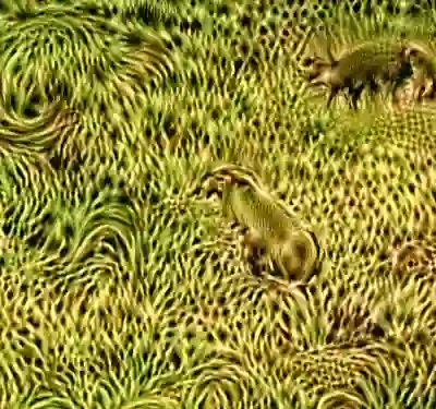 inscription 0ae7bab1f63477deec88356dad122354306f06c38e02ba634f7e94435b4012c7i7