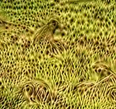 inscription 0ae7bab1f63477deec88356dad122354306f06c38e02ba634f7e94435b4012c7i8