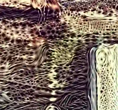 inscription 0dbf168db09ead7c4ae06c2d6ad64c0b5a21de9b8c95b16fa9a814e088005ea6i3