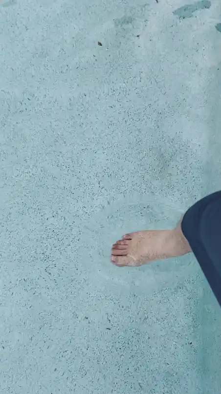 inscription 16d199e38436f91548efef8eda9b43eef40f18ac5078d8a9e7ef177686b3814di0