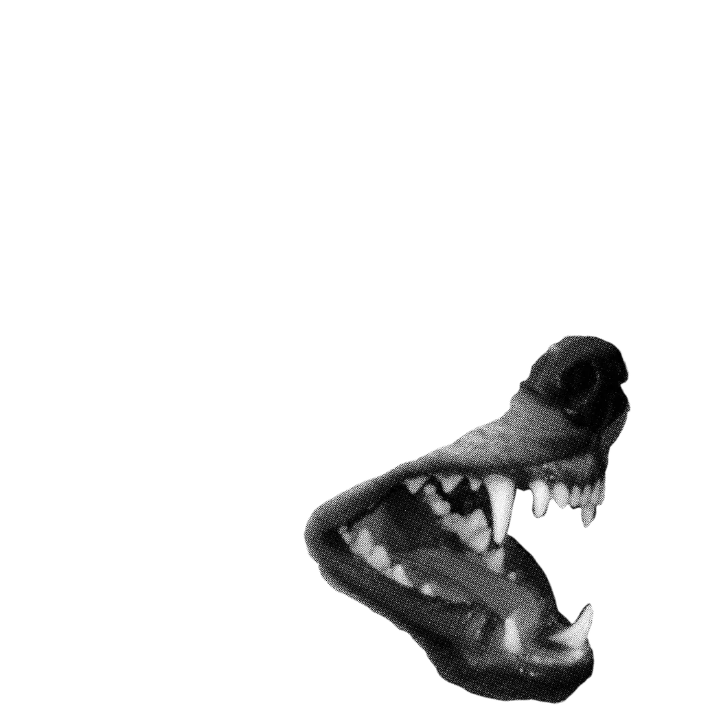 inscription 1adab5a271b6a8c2db163293f3aa0cbe748aa532511d1db41959704e3b9e2a6bi0