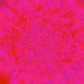 inscription 1e25ef1c7b3a97697e1bcf82bab6b62f8b1c94fb1ced3f48b59b9cf605ce4917i0