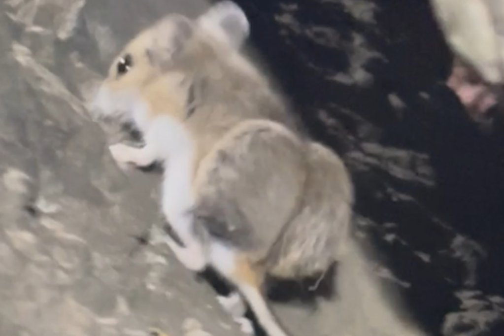 inscription 1e64f99c939a9f9c89b987debd726be9e5a749f9b8100adb7d51116f293db5e0i0