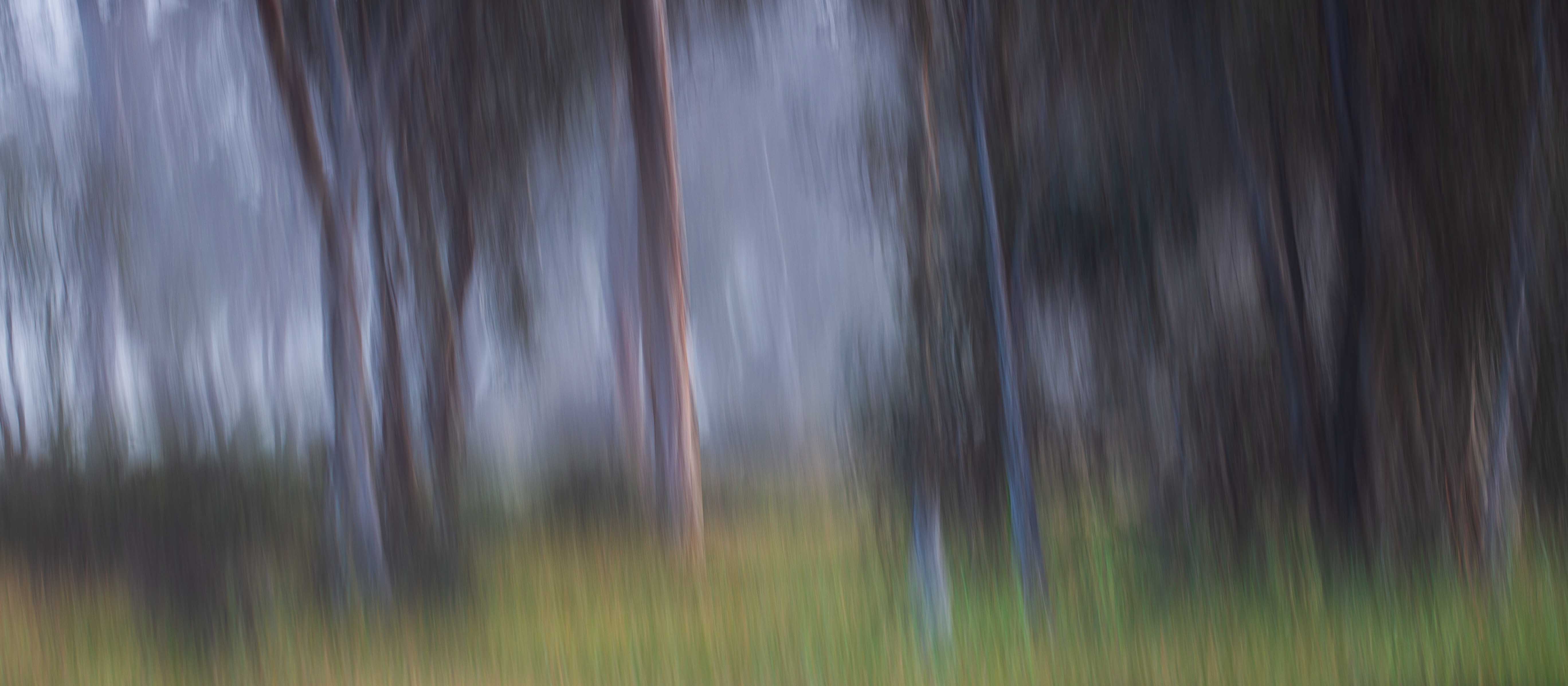 inscription 1ea556887ccd9044a258a31df06c57b59b9cdab13f53328b9124a89fff1b722ei0