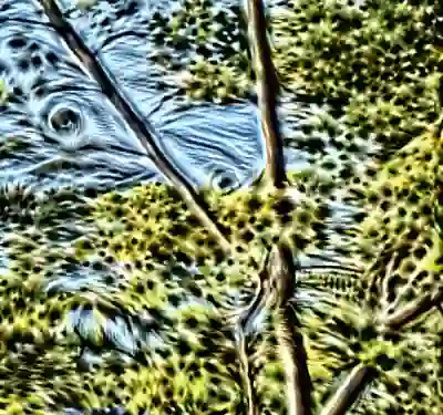 inscription 218fc2520bca0013c33af97f1215b7310c87420307ed2e193c24a0602c0ca429i9