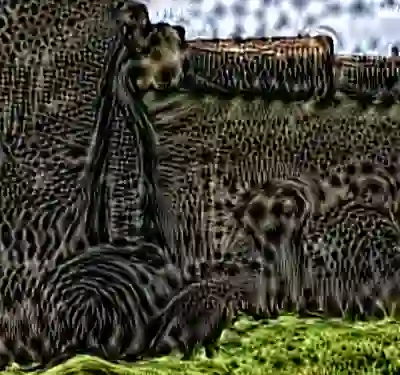 inscription 264a7098eeeff33236a34c5d53efd9fc1438d91b891cf40716bf1b518ebbf4f0i5