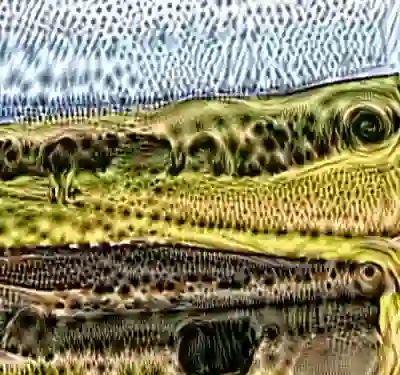 inscription 264a7098eeeff33236a34c5d53efd9fc1438d91b891cf40716bf1b518ebbf4f0i9