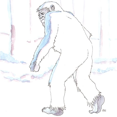 inscription 27cbd9d6383c1bf25ec951dd2cf18096d1f75d00b94d019ee65d78c31a88c492i2