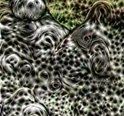 inscription 28ab9d5cc4958b9567cfd2aa54afda245d3c6a23267454e59cb17b79124b6b6ci0