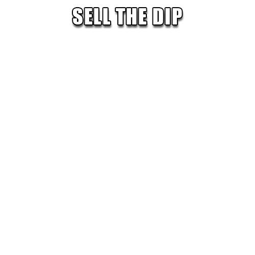 inscription 2917faed153a8960ba1740994788bc25fe672182303fc27034e09948701d401ci16