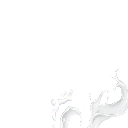 inscription 2917faed153a8960ba1740994788bc25fe672182303fc27034e09948701d401ci9