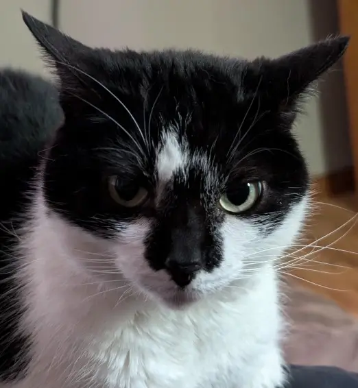 inscription 2f68b8ff65470370fae1068e6294291c20bcdbe46aacd851d7a7148df84f65b0i0