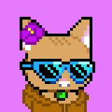 inscription 34caf81115aa09fec72851a83513d7482836c1956481ee46659ced256bd38b2ci0