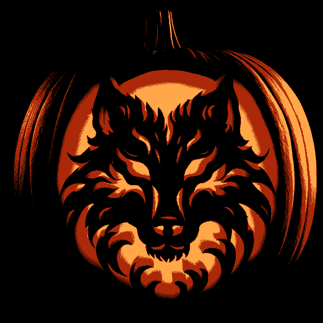 inscription 350b9714aa45e1a22883110903b63d2c151335a843ba7a2594a69cff2acffc5fi5