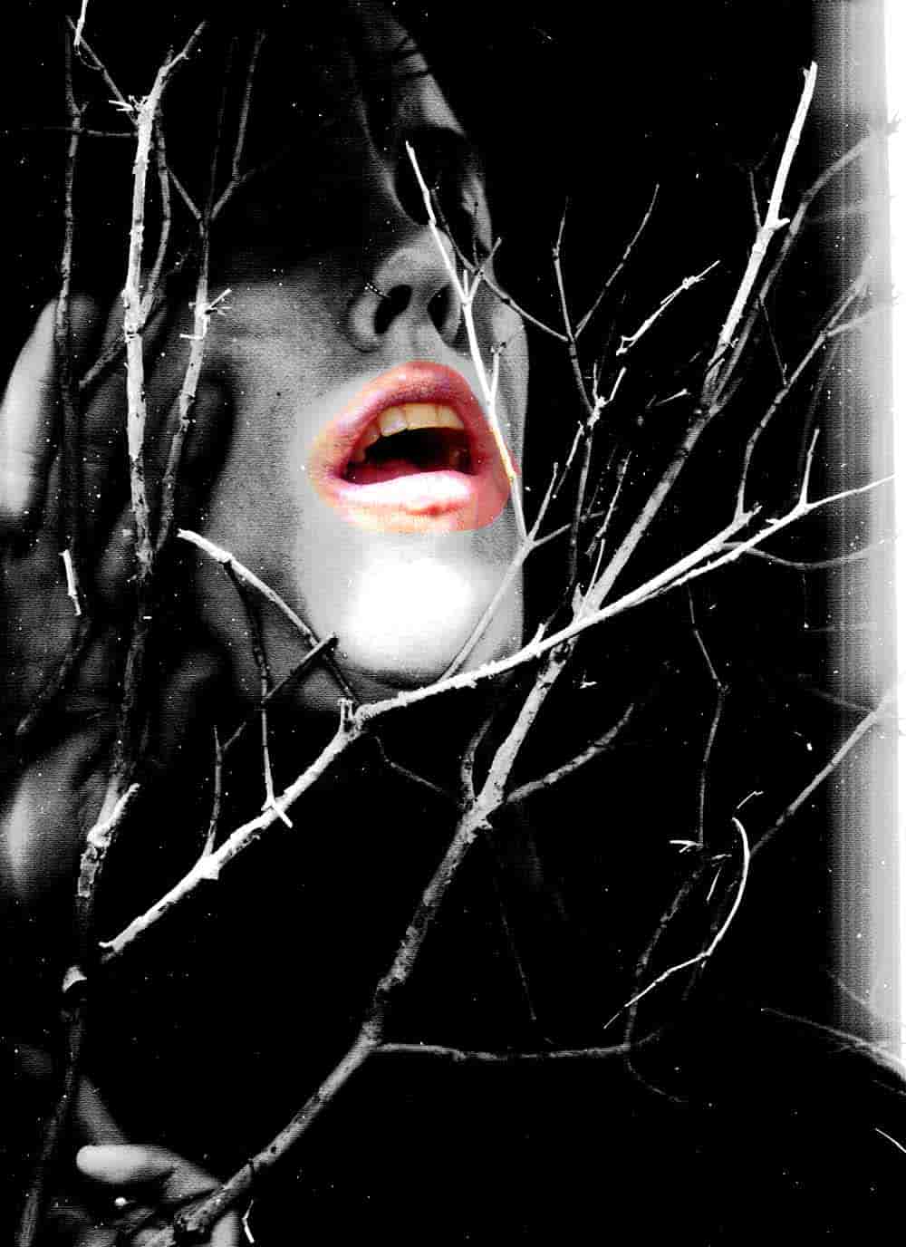 inscription 35ad370136e6e2ec5b152c1fbeb326edcbc3435b215a42a8c16dff0e59db5928i0