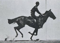 inscription 36d45089999e2f12fe81e35f688e46cec43a5f9dbb8ef474a933a1d5a0848e98i0