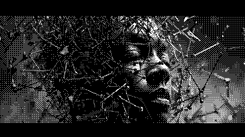 inscription 373370726598f754a6cdd889020c4f4919c2baf0849a15827464d4b166afc51ai0