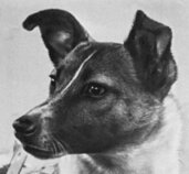 inscription 388a33781ec20e21aa13e31aeca74b5baacb8668e1d07d1d664e496f035ec39ai0