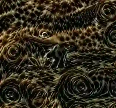 inscription 38c45e7f844c249f7f55f9ae4aa4cfbccbb69acd9c464a094c47c6ae326556cfi0