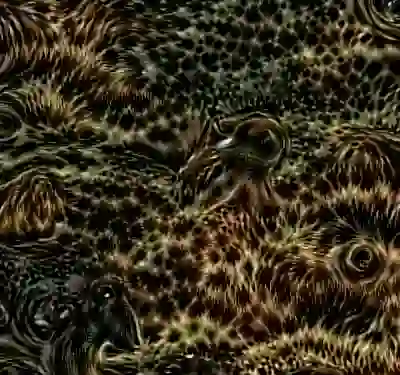 inscription 38c45e7f844c249f7f55f9ae4aa4cfbccbb69acd9c464a094c47c6ae326556cfi1