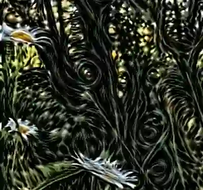 inscription 396dbfacbbdf7ddbaaccca54332f4fae47789f987d7dc027dae81e52018a2134i0