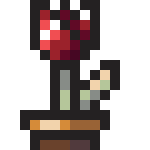 inscription 3b4c941532c8c5c48c7f76608e8dd2244c789b17d348471c341242c2f0a28254i0