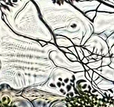 inscription 40288bb38caf0ba09e7e043a30c9d0ae108606c786416845507d8c4147e27017i0