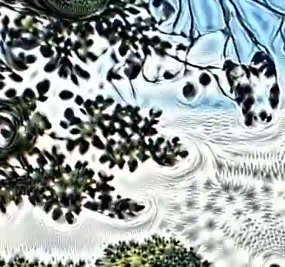 inscription 40288bb38caf0ba09e7e043a30c9d0ae108606c786416845507d8c4147e27017i2