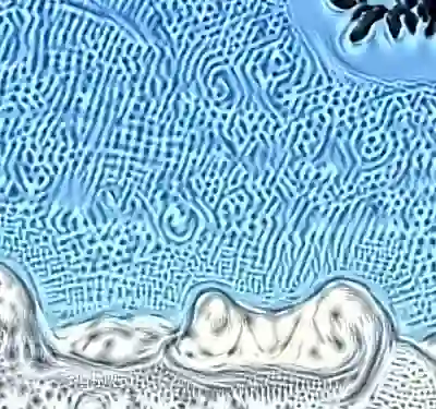 inscription 40288bb38caf0ba09e7e043a30c9d0ae108606c786416845507d8c4147e27017i6