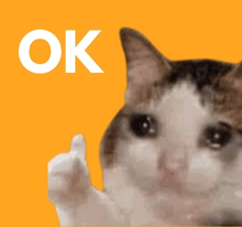 inscription 40575e9757055723ed1a01fc00bdaf9f11b93ef12cae8f5d57378cea205372c2i0