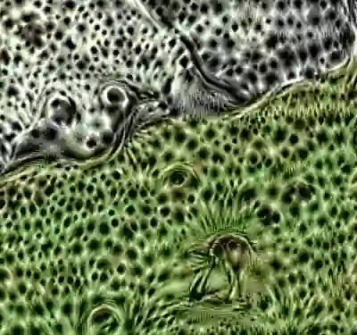 inscription 42703a3a8c5516fff3a3884a169b6a8f3611102de3d8d348045157f85ca4b0ddi9