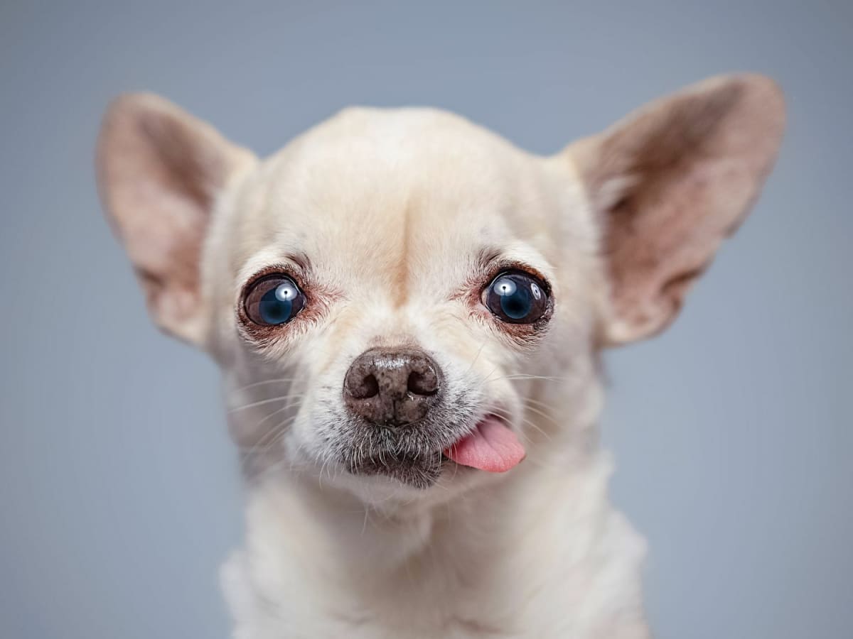 inscription 4be86c753300ff10eda31d83ccbc291d3335db10fcdb7b1a311212ff93fdf379i0