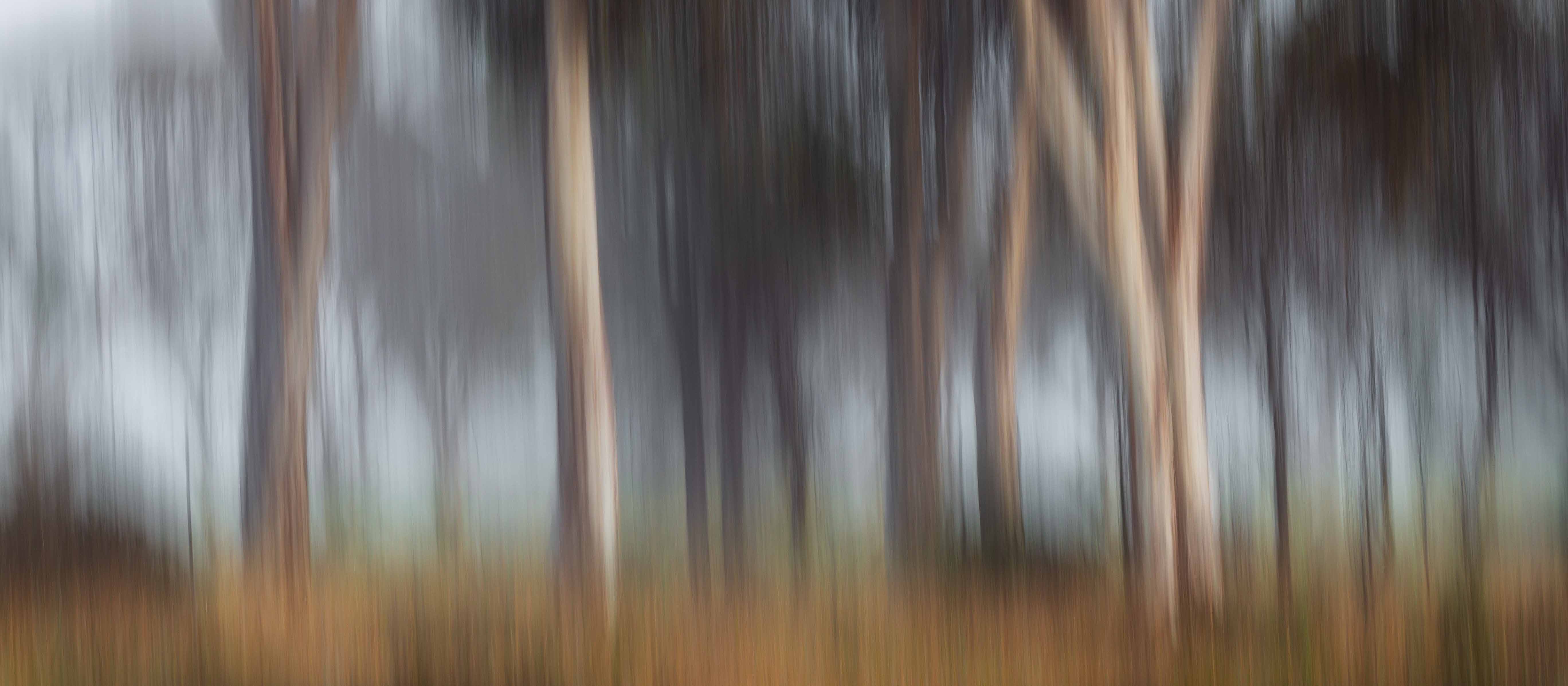 inscription 4bf80dff8419616fd0f7b12bdbcc9f23b09b1e39adbc4c0e370dee9538d5367ai0