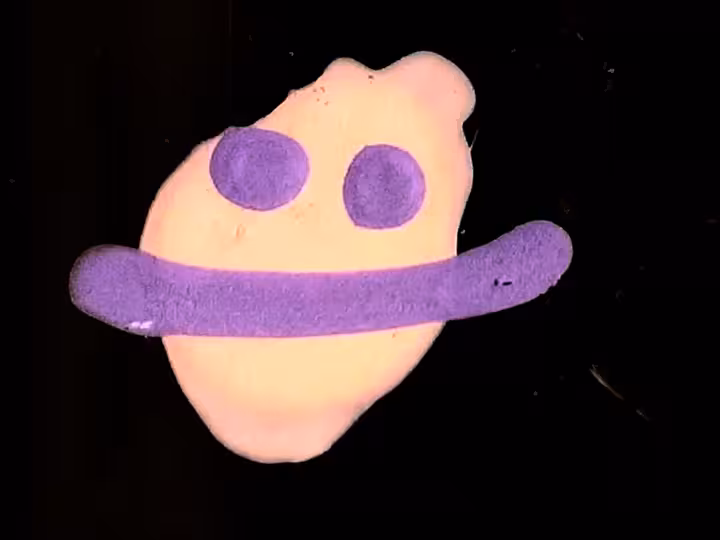 inscription 4ca6d547a297bfe6b3df90167bc254d9dcd56dc6140e570aec586f2980a7999fi16