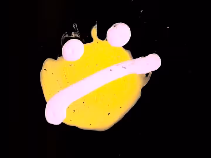 inscription 4ca6d547a297bfe6b3df90167bc254d9dcd56dc6140e570aec586f2980a7999fi17