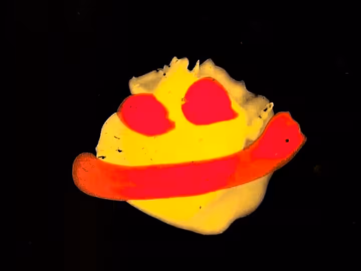 inscription 4ca6d547a297bfe6b3df90167bc254d9dcd56dc6140e570aec586f2980a7999fi19