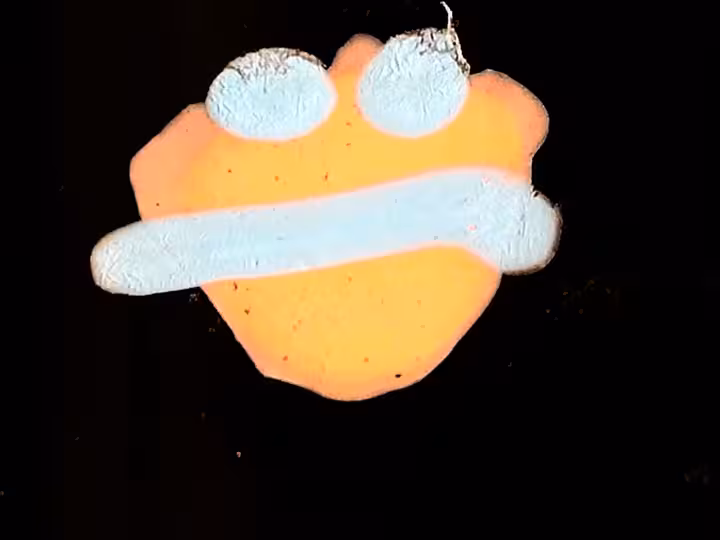 inscription 4ca6d547a297bfe6b3df90167bc254d9dcd56dc6140e570aec586f2980a7999fi21