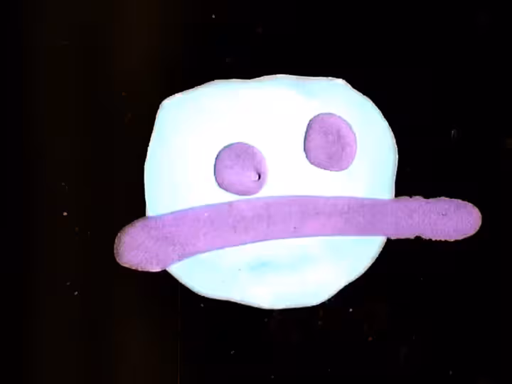 inscription 4ca6d547a297bfe6b3df90167bc254d9dcd56dc6140e570aec586f2980a7999fi22