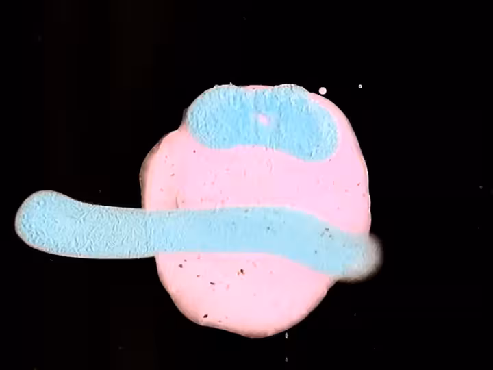 inscription 4ca6d547a297bfe6b3df90167bc254d9dcd56dc6140e570aec586f2980a7999fi24