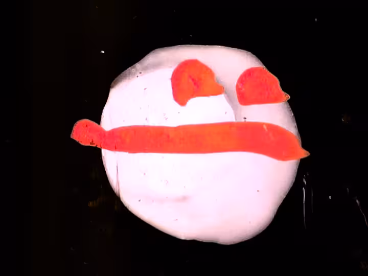 inscription 4ca6d547a297bfe6b3df90167bc254d9dcd56dc6140e570aec586f2980a7999fi26