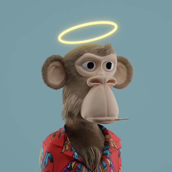 inscription 532fec67cb8c8f1414ccb6d623df8325efa94a84e32336d36e4bfc13aa0072d8i0