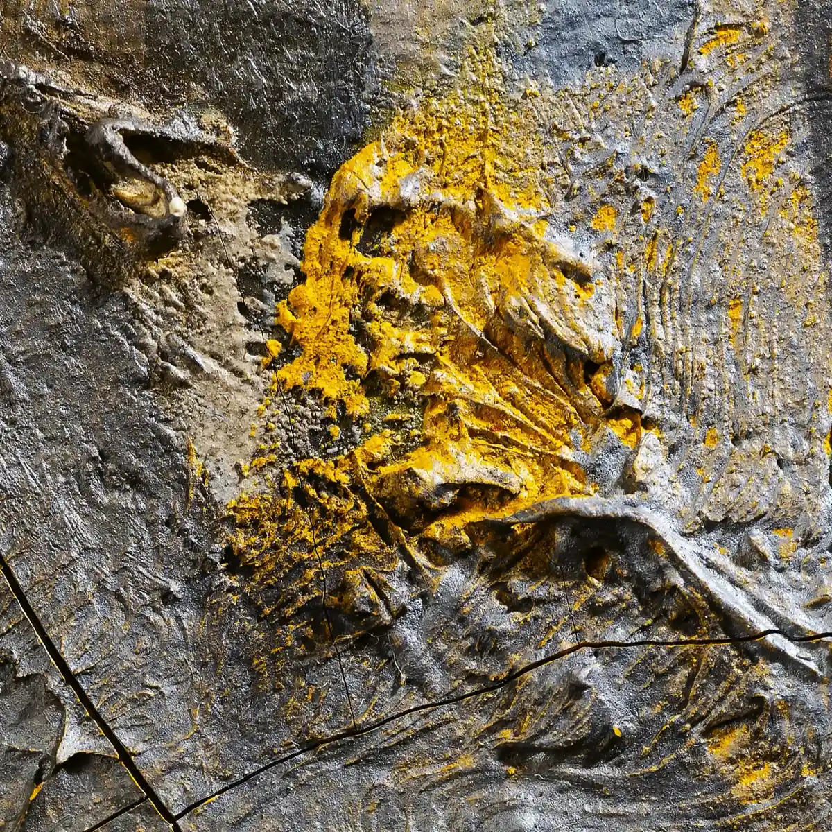 inscription 570aab4199d8f32b13d7bba401680d63981a0285bb09685c3b3958493fd5a248i0