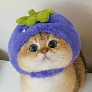 inscription 57b4f76437f8d6587c3fc57e003e4b89270831b472d50ed15921cc06e65285dei0